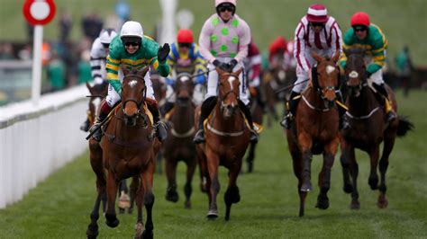 cheltenham bet - Cheltenham festival tips